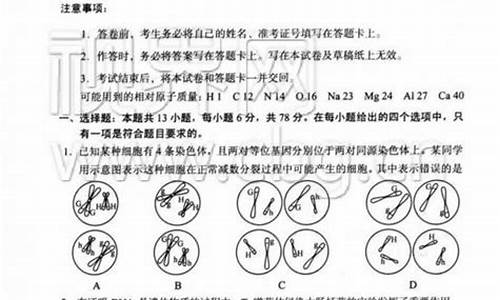 理综答案2017重庆高考_2017年重庆高考题