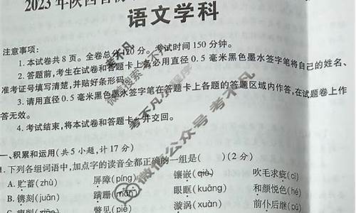 2017高考语文陕西卷子答案_2017高考语文陕西卷子