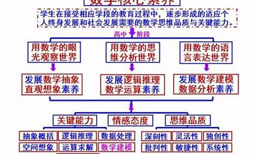 高考数学素养-高考数学素养如何培养